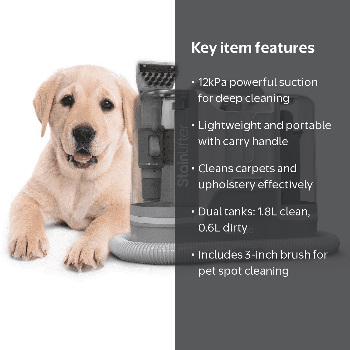Ionvac Stain Lifter 12kPa Suction Portable Carpet and Upholstery