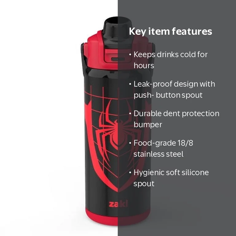 Zak Designs 20oz Spiderman Kids Straw Water Bottle, Stainless