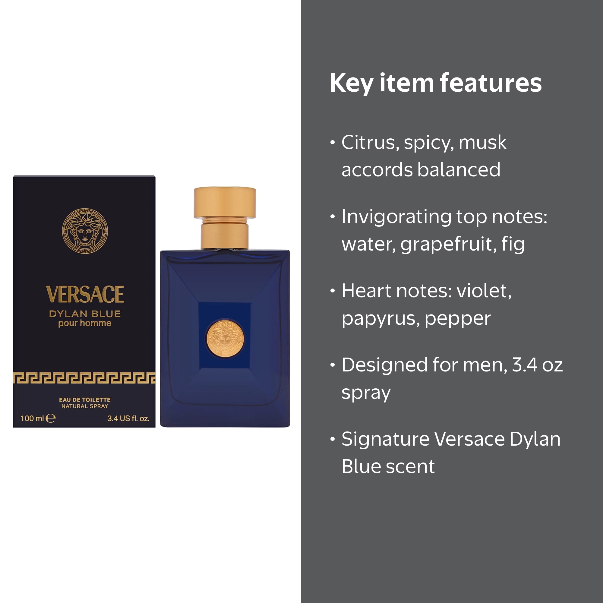 Versace Pour Homme Dylan Blue for Men 3.4 oz Eau de Toilette Spray