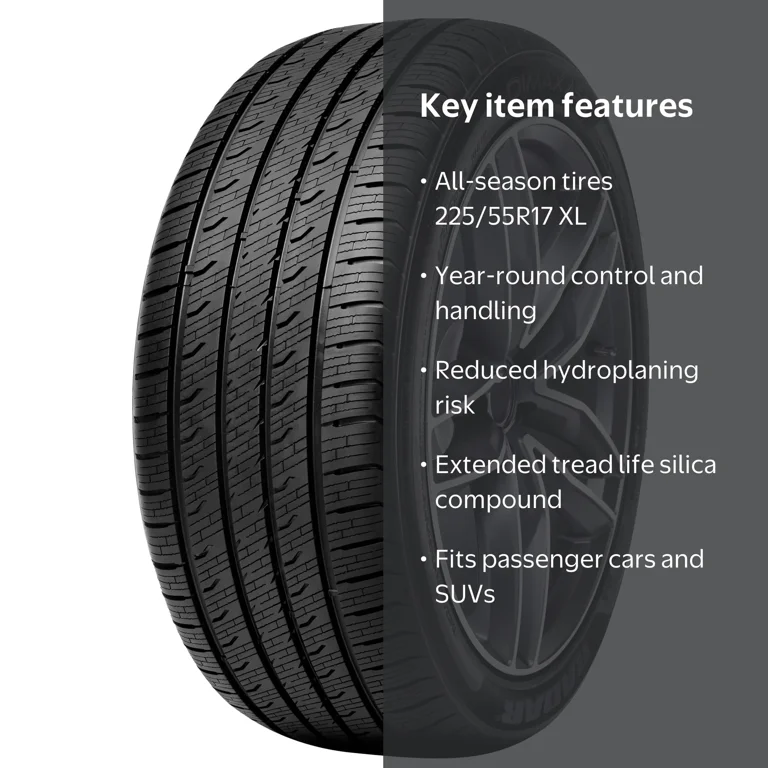 Radar Dimax AS-9 All Season 225/55R17 101V XL Passenger Tire