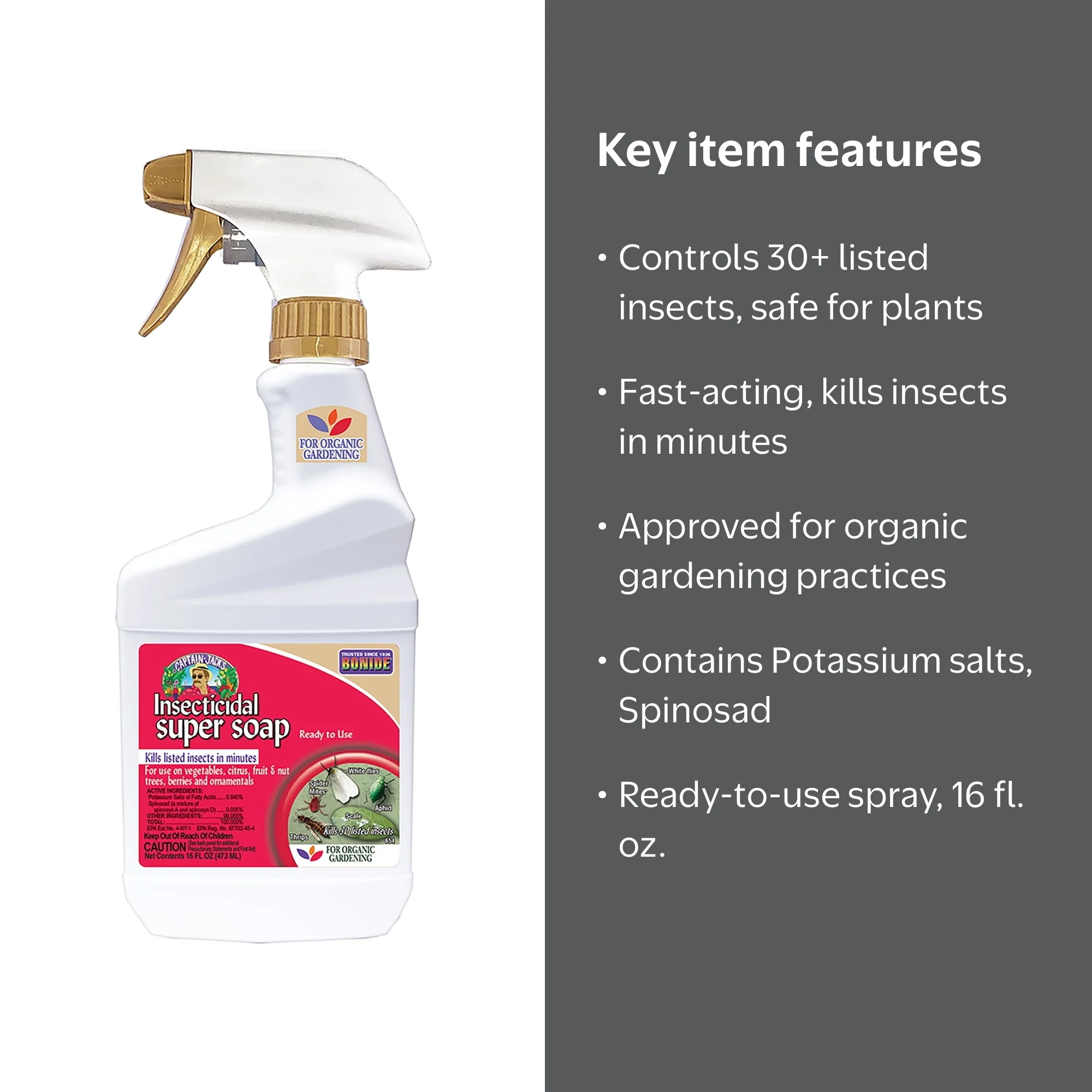 Bonide Captain Jack's 16 oz Insecticidal Soap, Ready-to-Use Spray  Multi-Purpose Insect Control