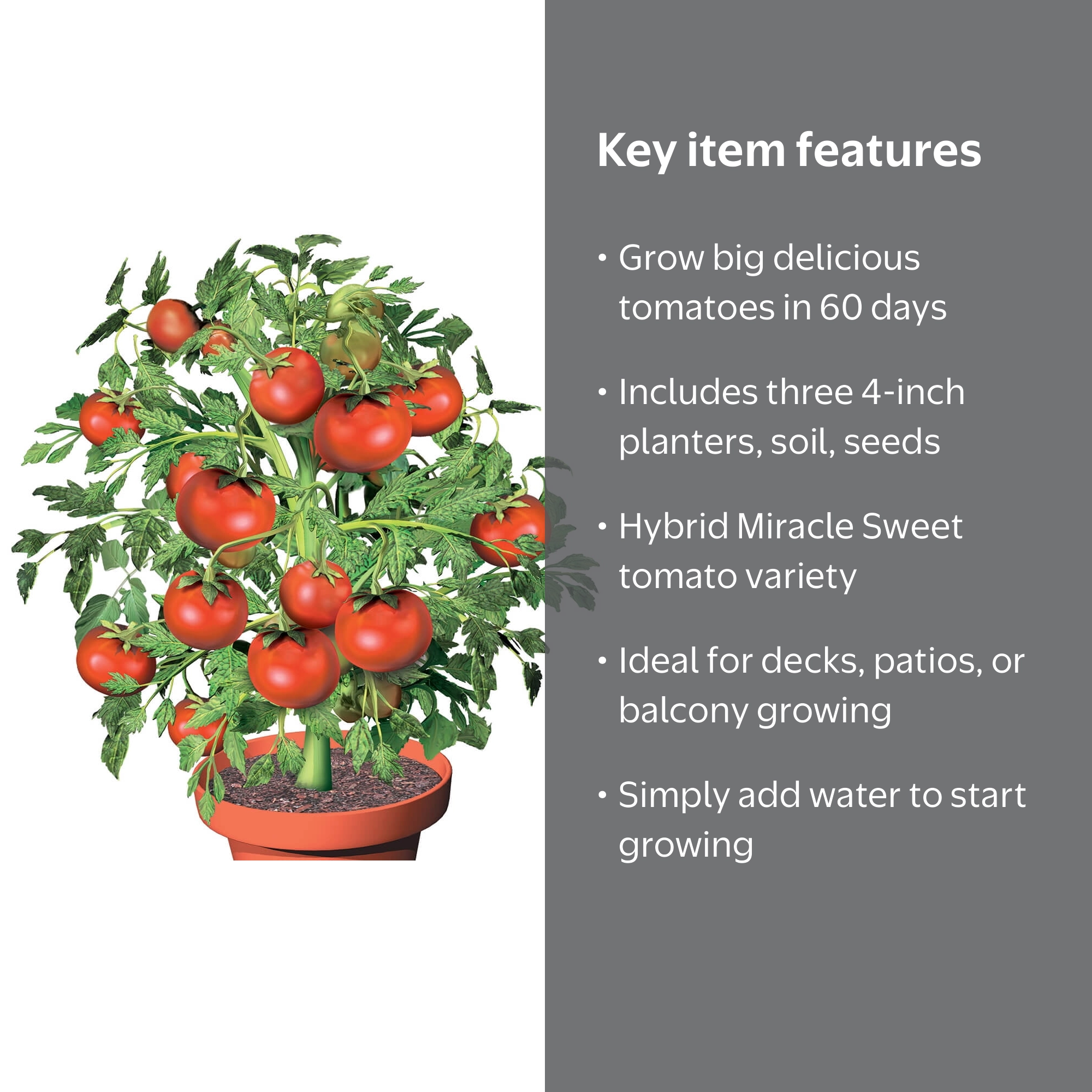 Tomato Seed Starter Kit - Set Includes Three 4” Planters, Soil and