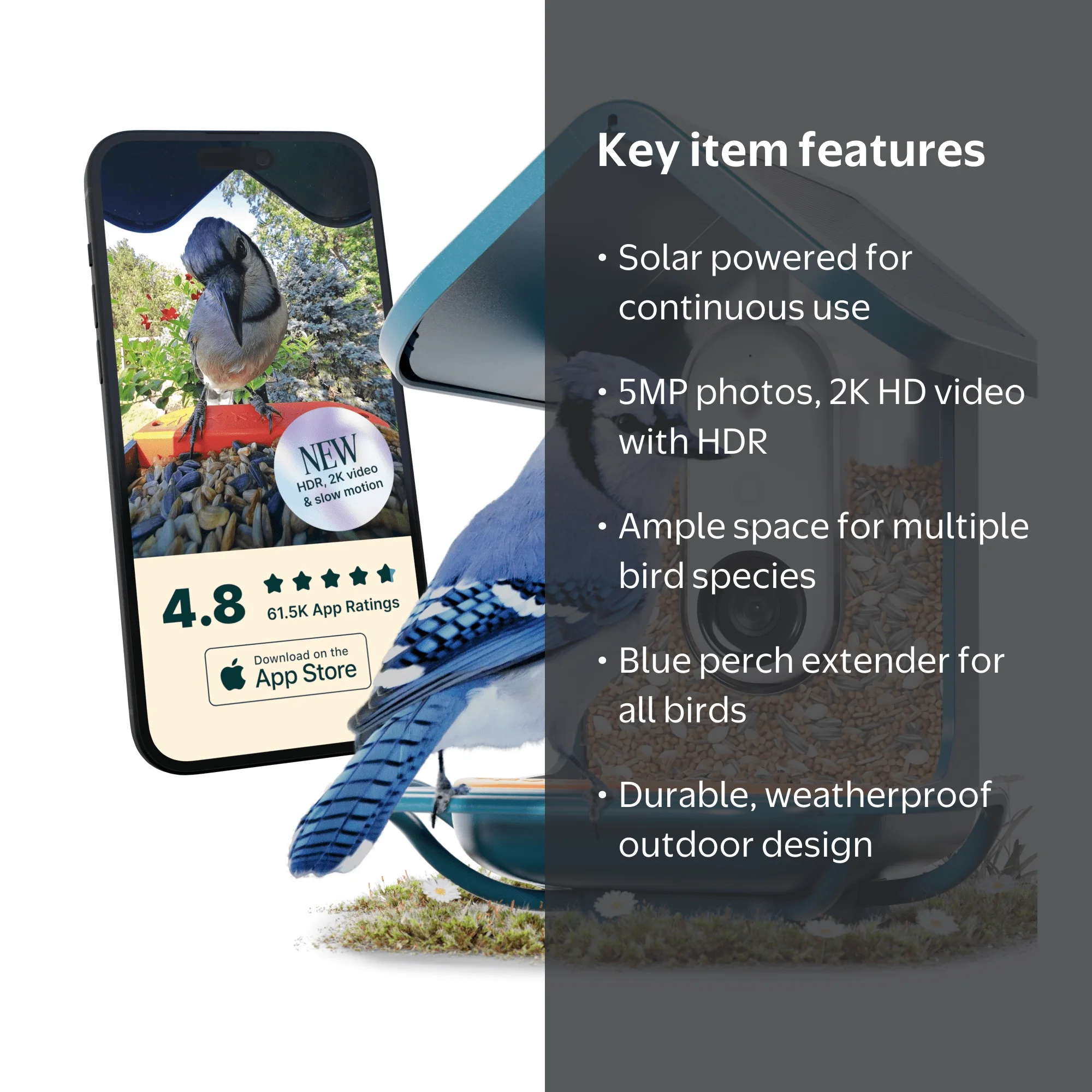 Birdbuddy Durable & Weatherproof Pro Solar Bird Feeder with