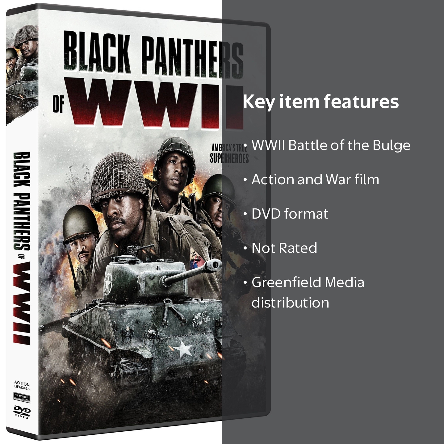 Black Panthers Of WWII (DVD) Greenfield Media, Action - Walmart.com