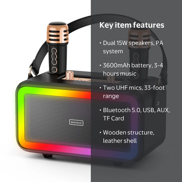 Free Shipping! BIGASUO Portable Bluetooth Karaoke Machine with 2