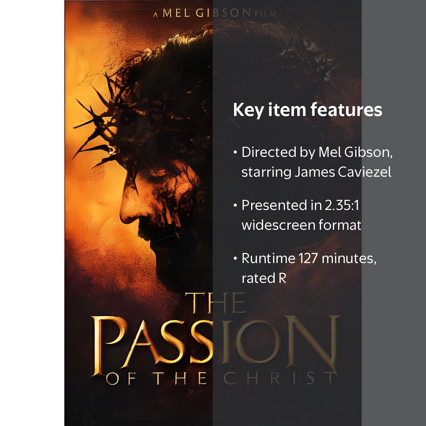 Mel Gibson's The Passion of the Christ Movie (DVD) - Walmart.com