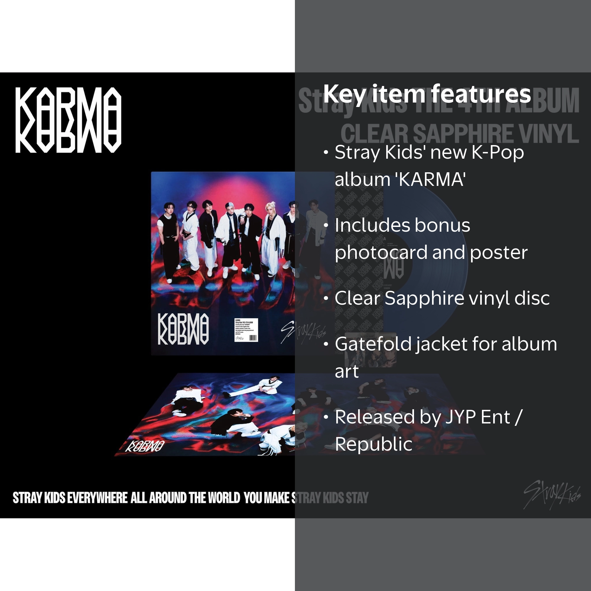 Stray Kids - Karma - Music and Performance - Vinyl Album with