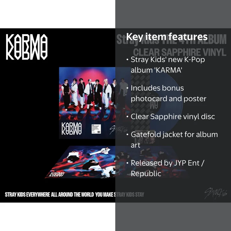 Stray Kids - Karma - Music and Performance - Vinyl Album with