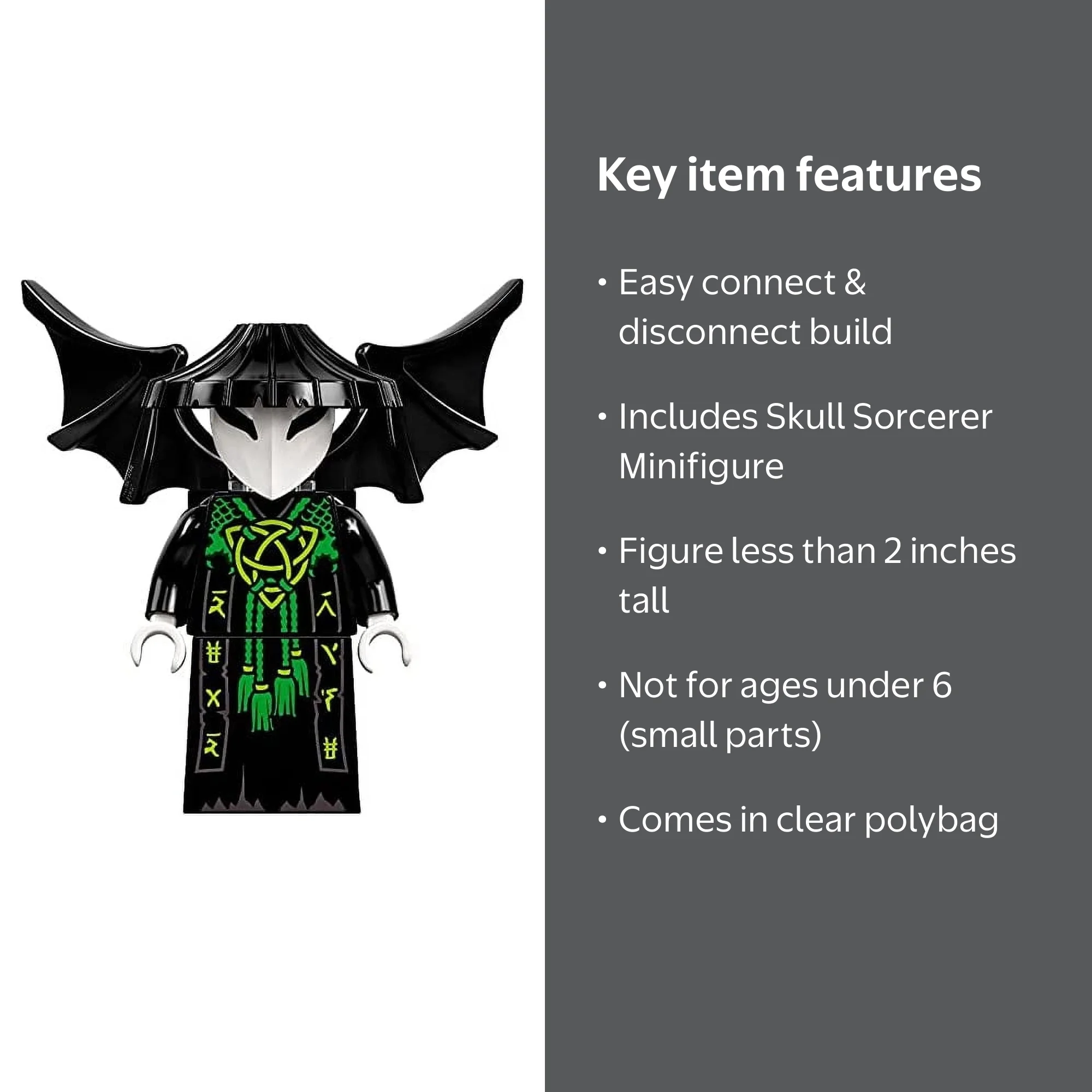 LEGO Ninjago Skull Sorcerer with Wings - Master of the Mountain