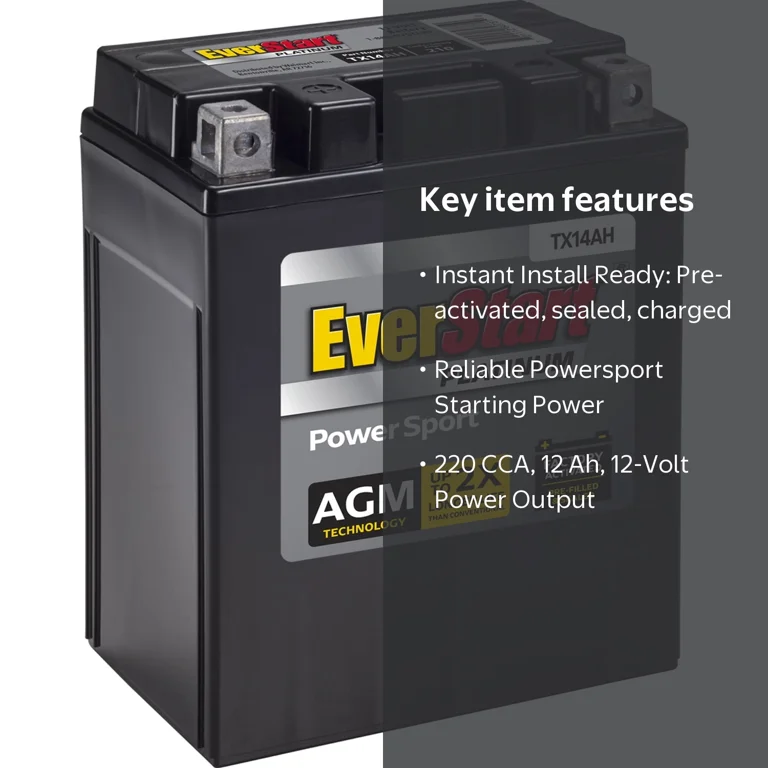 Free Shipping! Ever Start AGM PowerSport Battery TX14AH 12V 220