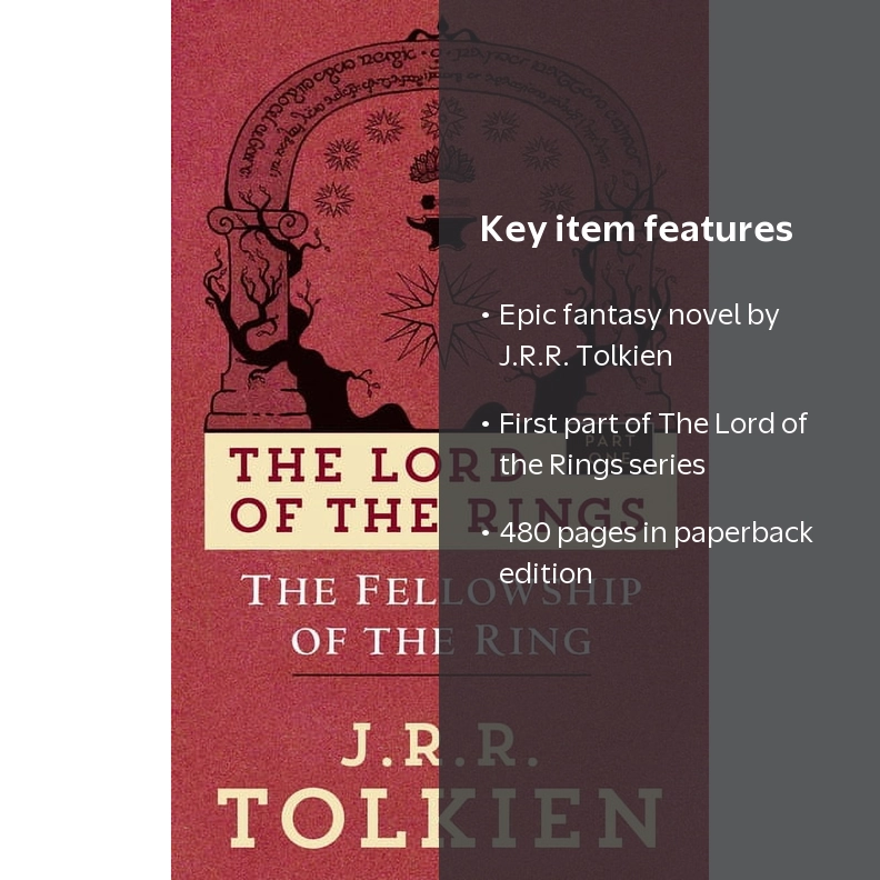 Lord of the Rings The Fellowship of the Ring: The Lord of the