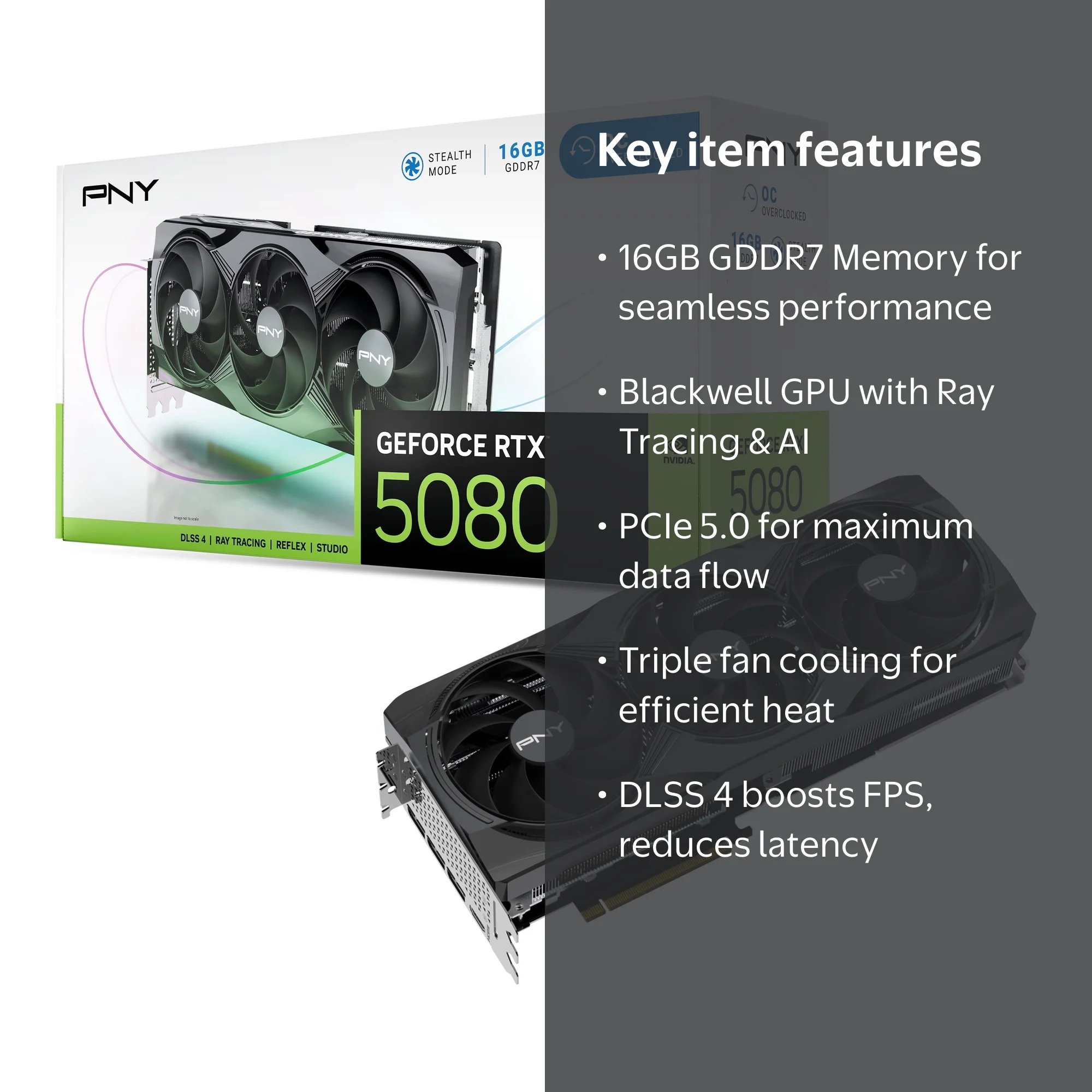 k2-_8c21c99f-7dac-4a90-a49f-