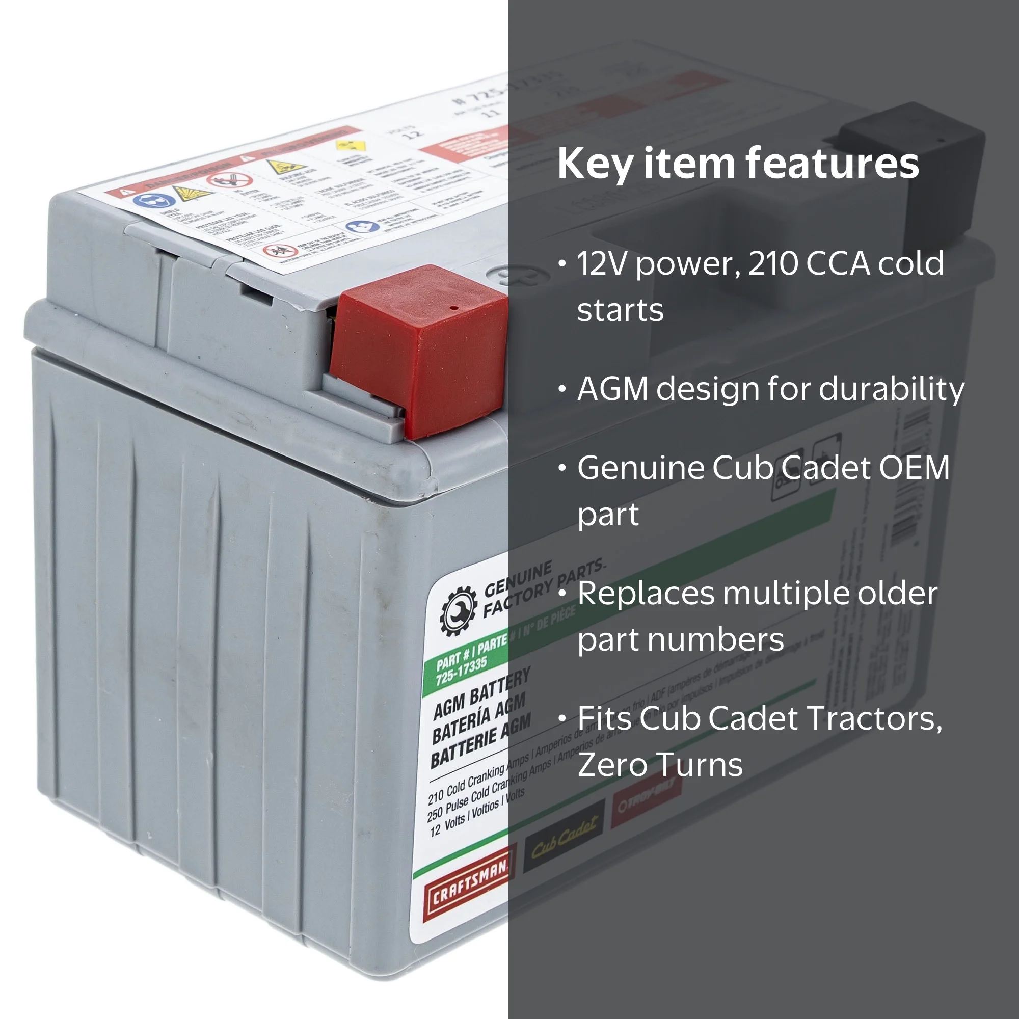 Cub Cadet, 12-Volt AGM Battery, 490-280-F017, 210 CCA - Walmart.com