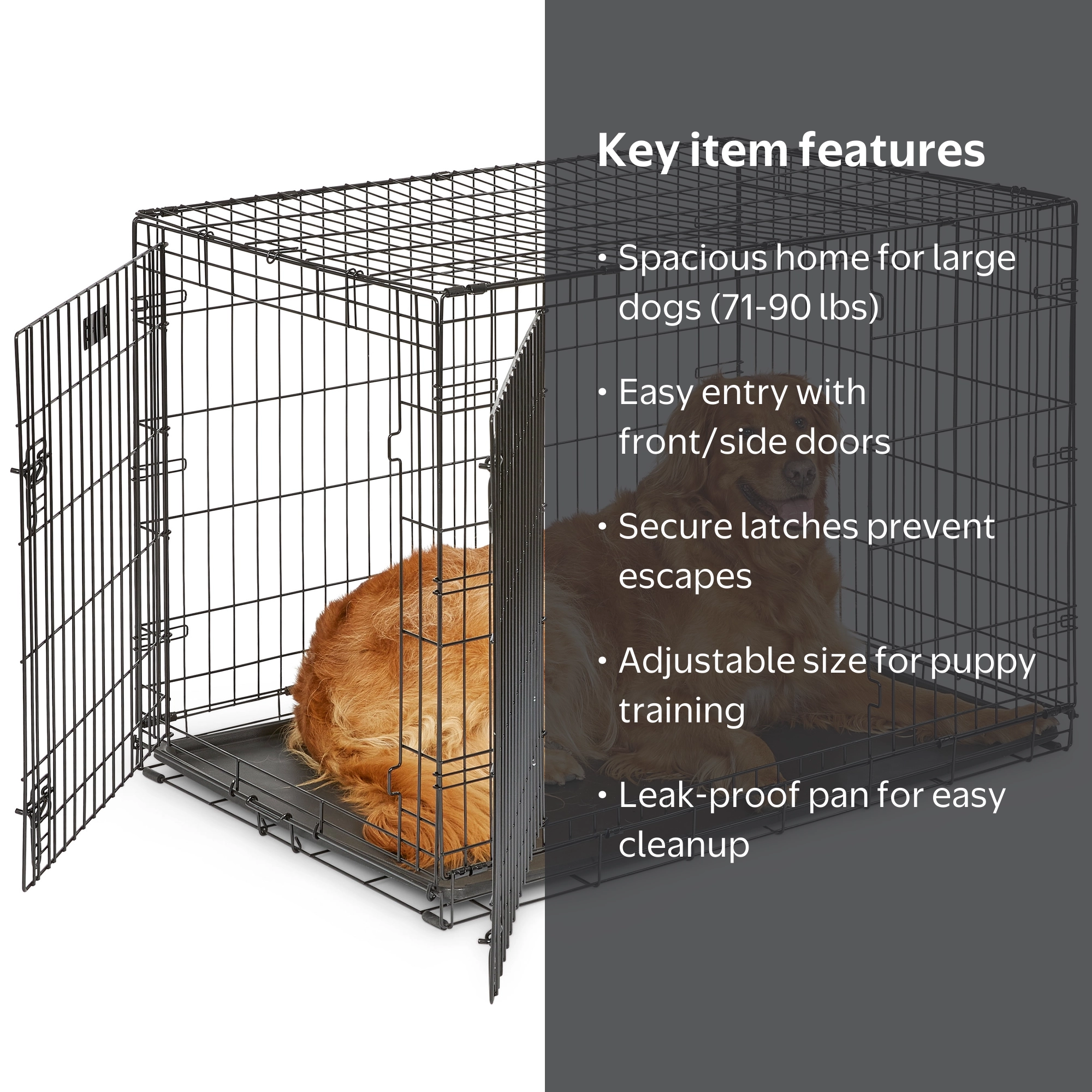 MidWest Homes for Pets 42-Inch Two-Door Folding Dog Crate with
