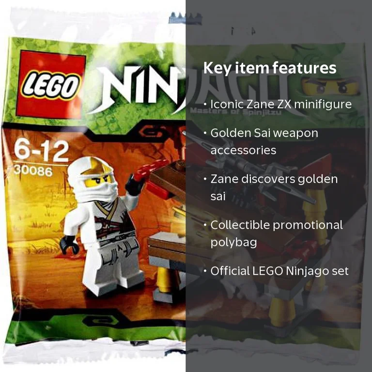 セット LEGO Ninjago Hidden Sword with Zane ZX Mini Set, 30086, Polybag