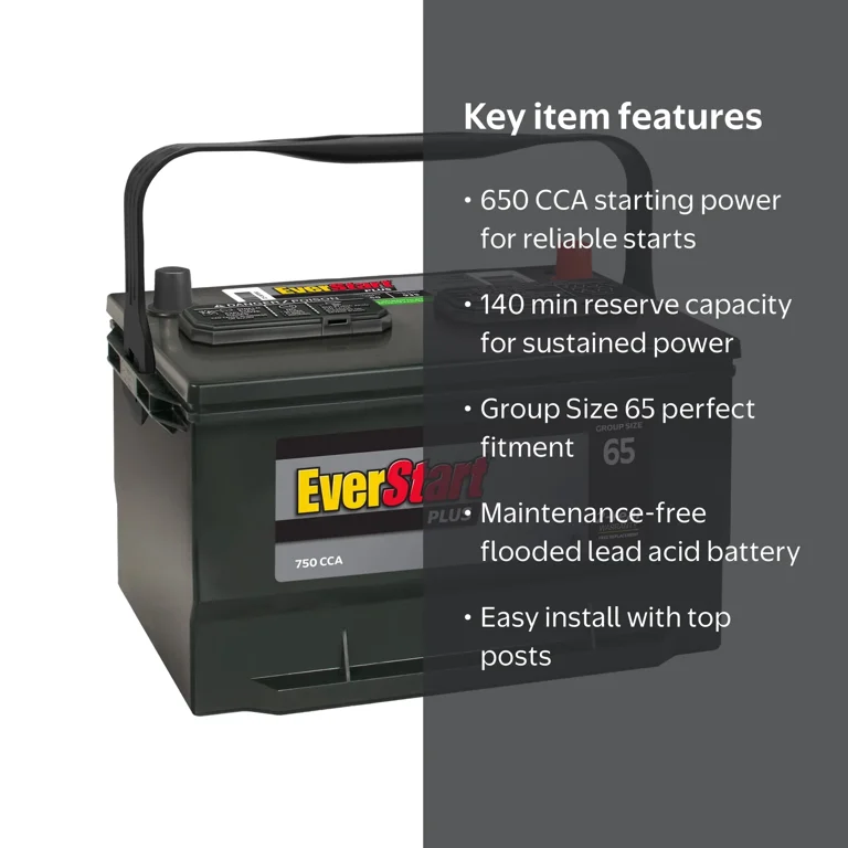 Free Shipping! EverStart Plus Lead Acid Automotive Battery, Group