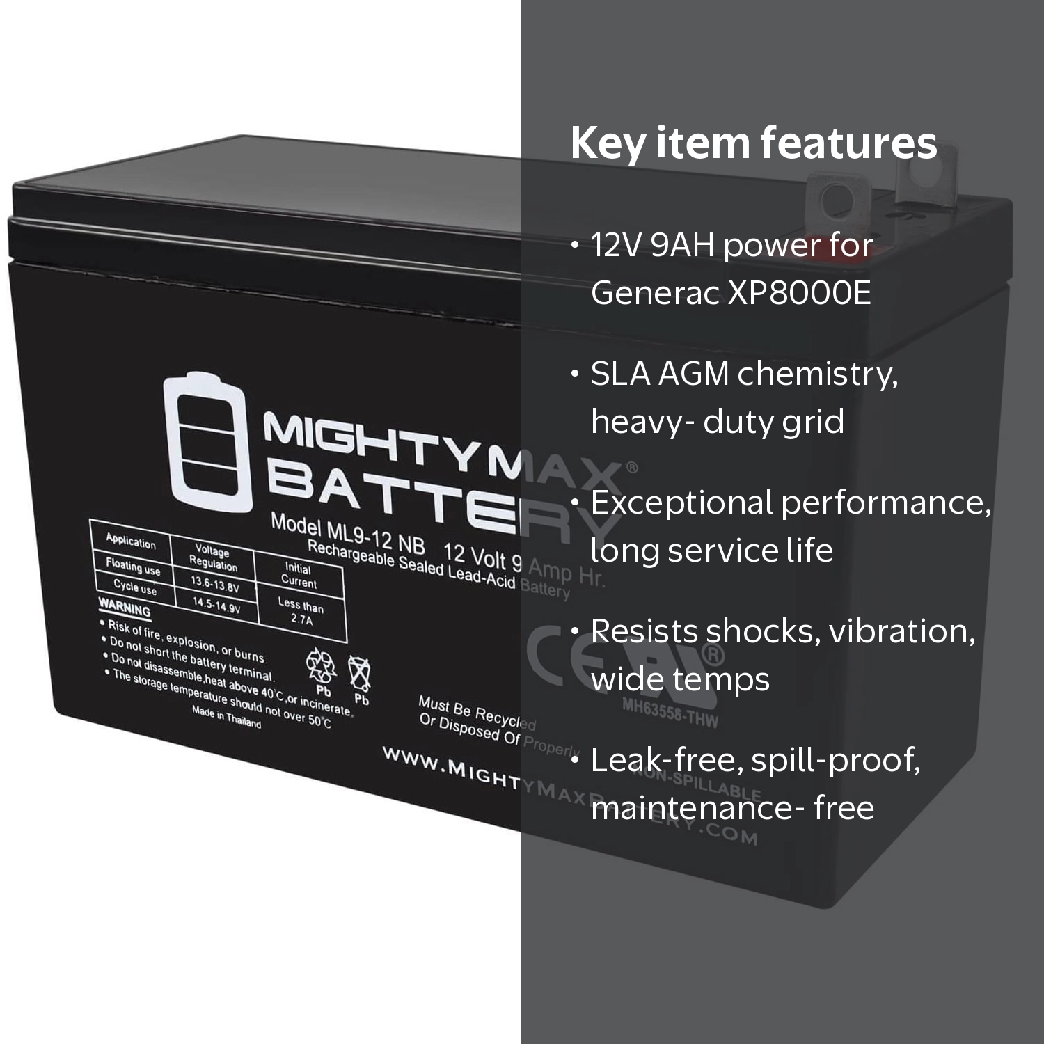 Mighty Max Battery, 12V 9AH SLA Replacement Battery for Generac