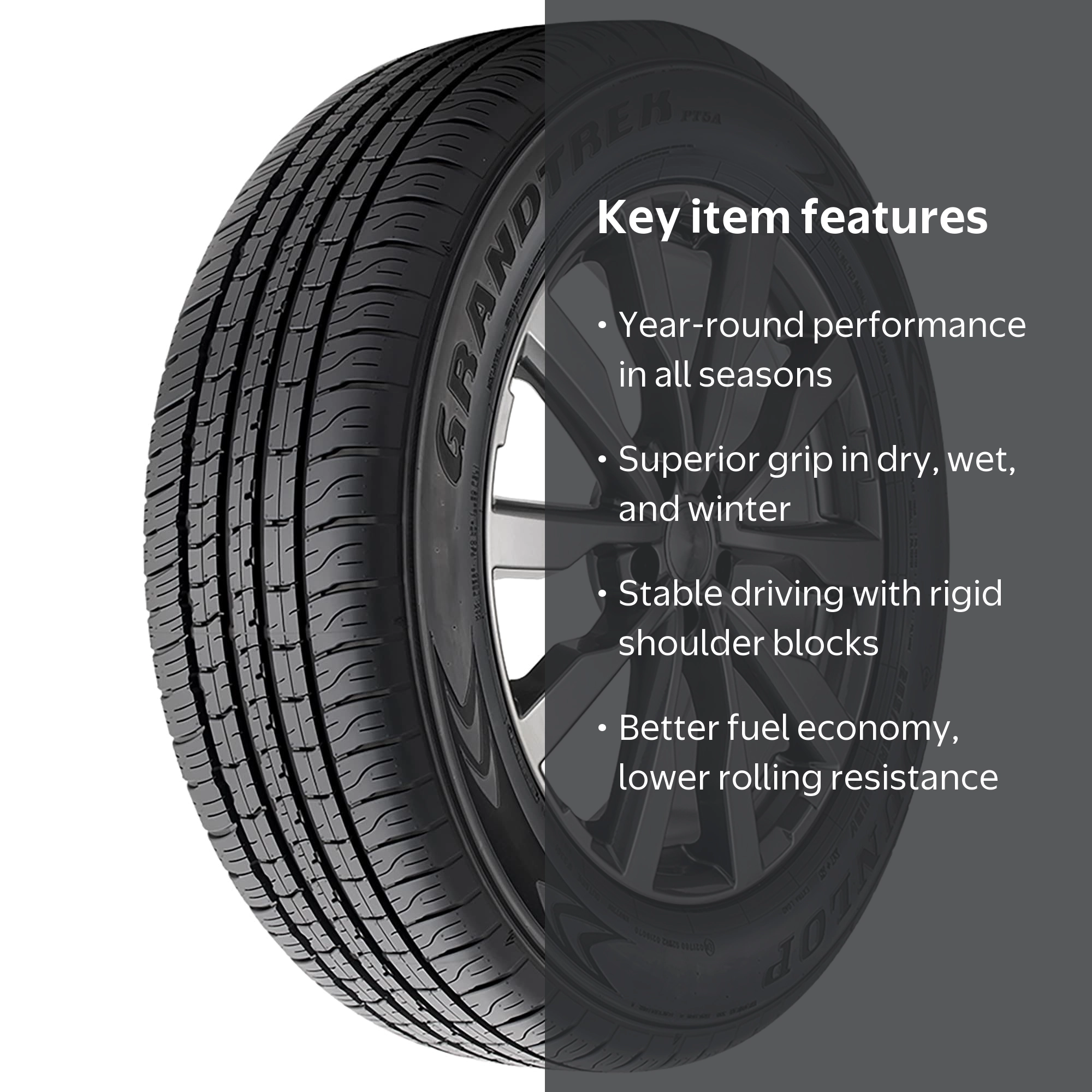 Dunlop Grandtrek PT5A 265/55R20 113V XL a/s All Season Tire