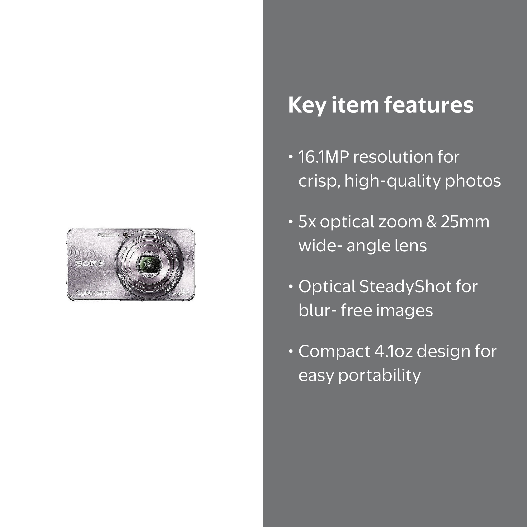 Sony Silver Cyber-Shot DSC-W570 Compact Camera with 16 MegaPixels