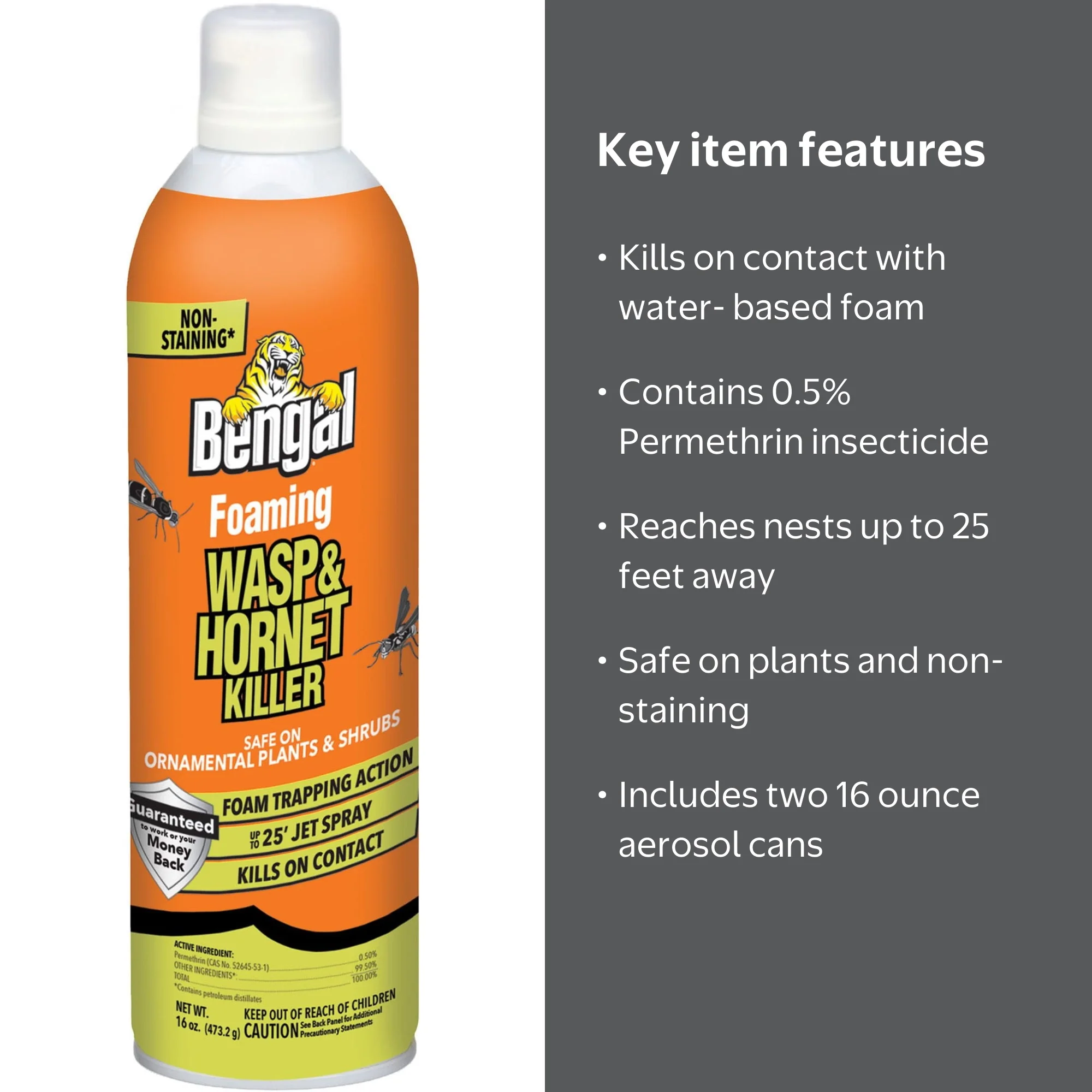 2 pack) Bengal Foaming Wasp & Hornet Killer, 16 oz Aerosol Can