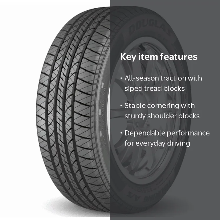 Douglas Touring A/S 195/65R15 91H All-Season Tire - Walmart.com