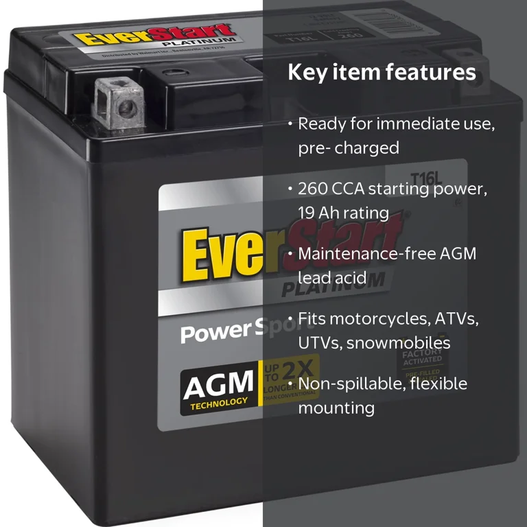 EverStart, Powersport Motorcycle ATV Battery, YTX16L-BS, 260 CCA