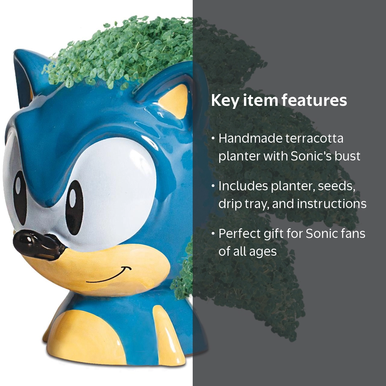 Sonic the Hedgehog Chia Pet Handmade Decorative Planter by JEI