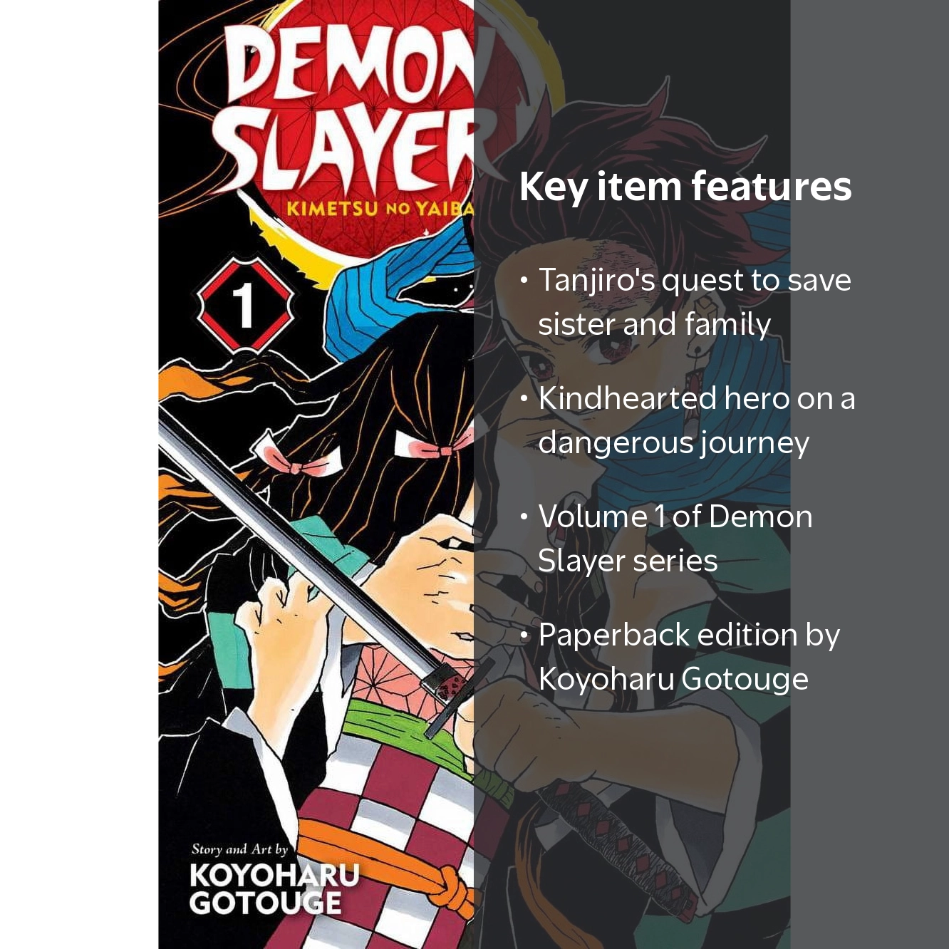 Koyoharu Gotouge, Demon Slayer: Kimetsu No Yaiba, Vol. 1
