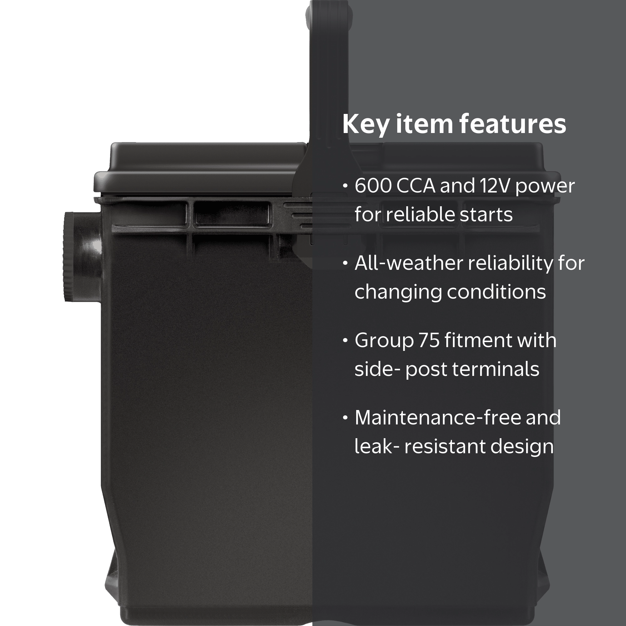 EverStart Plus Lead Acid Automotive Battery, Group Size 75, 12 V