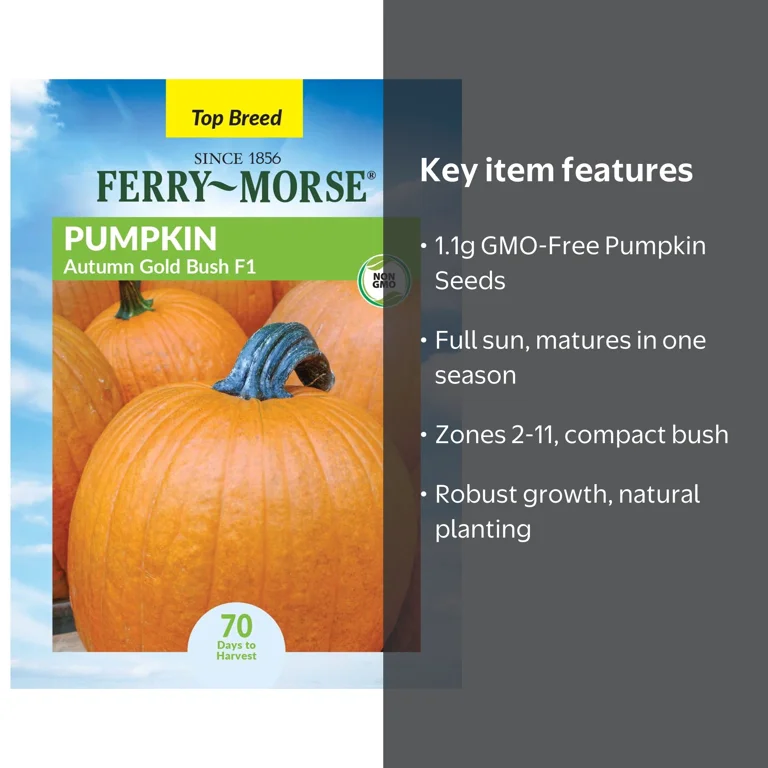 Ferry-Morse 1.1G Pumpkin Autumn Gold Bush F1 Annual Vegetable