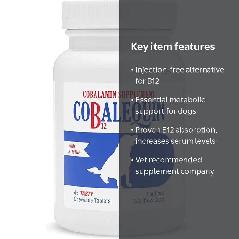 b12 for dogs injection Vitamin B-12 1000mcg - Pets appetite in dogs and cats with our fast Vitamin B12 Injection Benefits for
