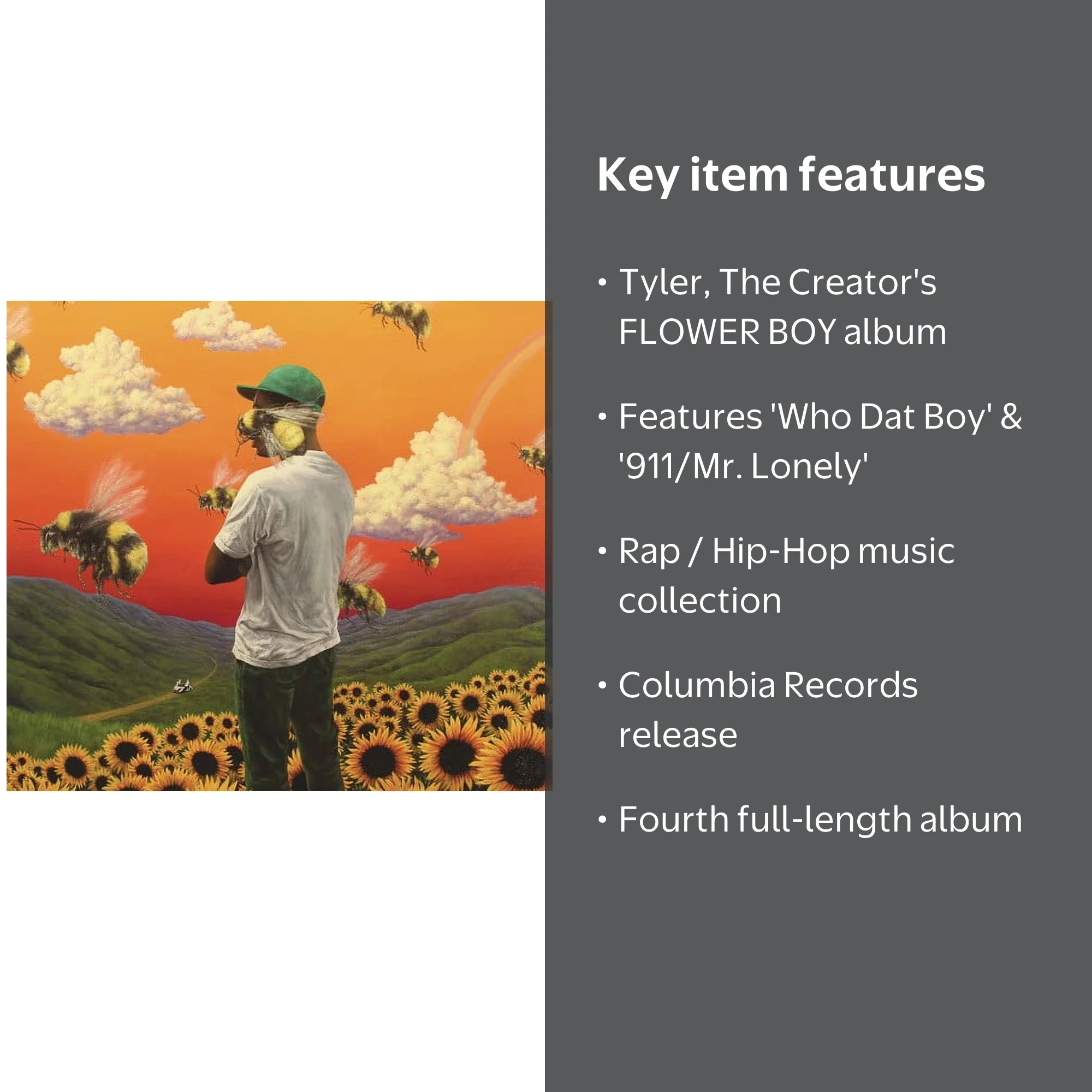 Tyler, the Creator - Flower Boy Music Album - Rap/Hip-Hop CD