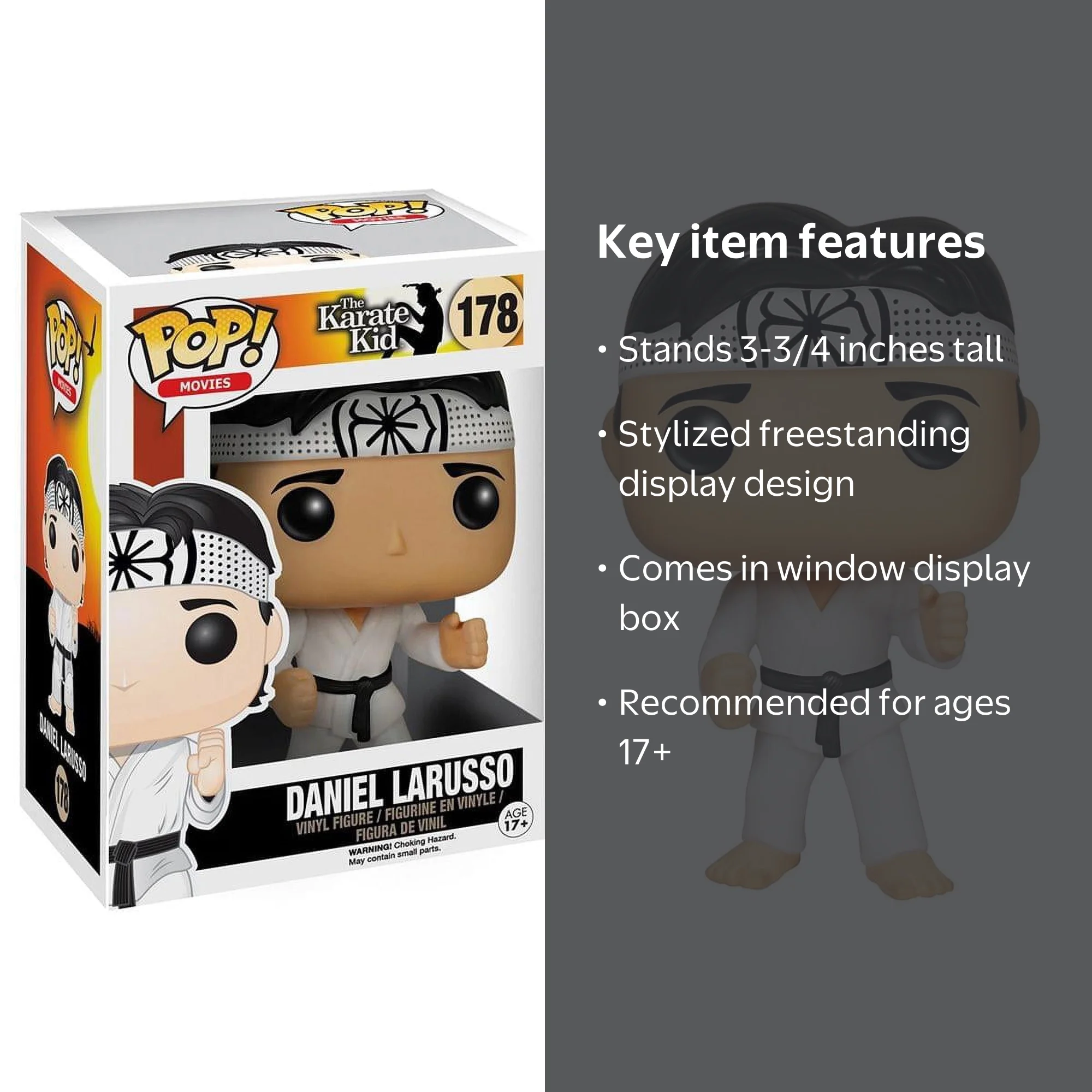 Karate Kid - Daniel Larusso - Walmart.com