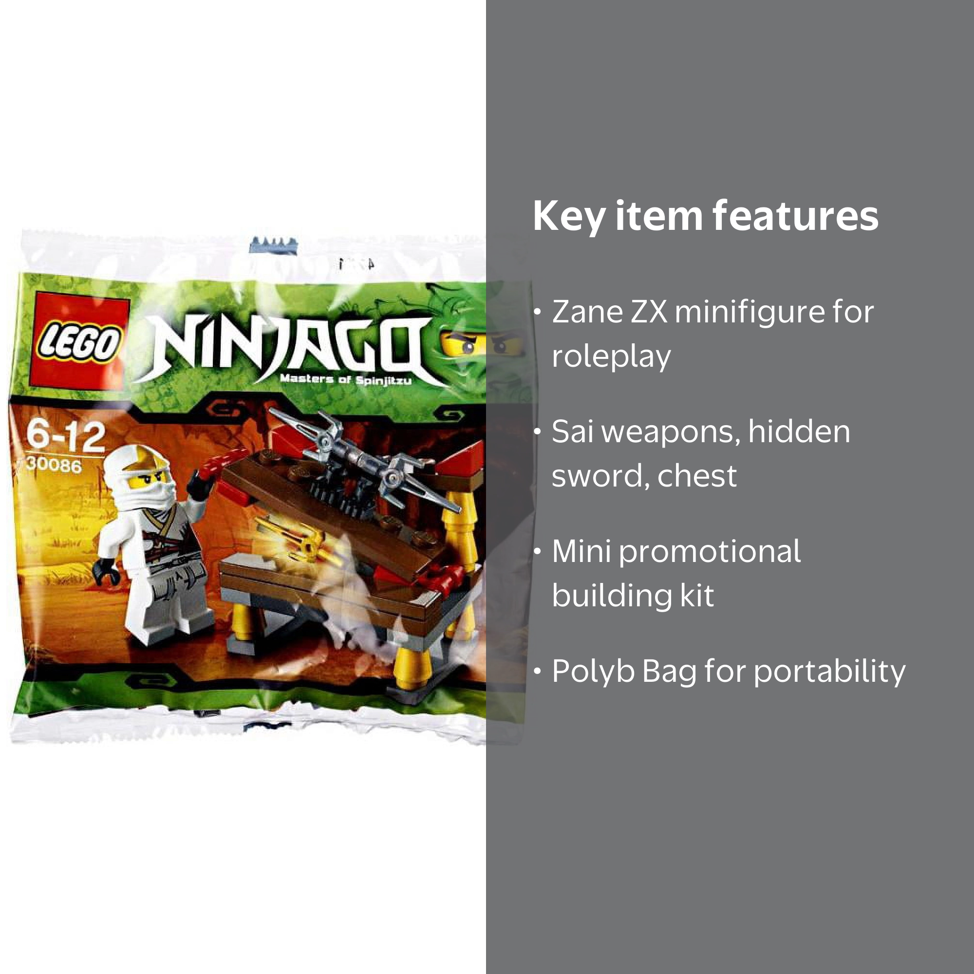 Ninjago Hidden Sword with Zane ZX Mini Set LEGO 30086 [Bagged