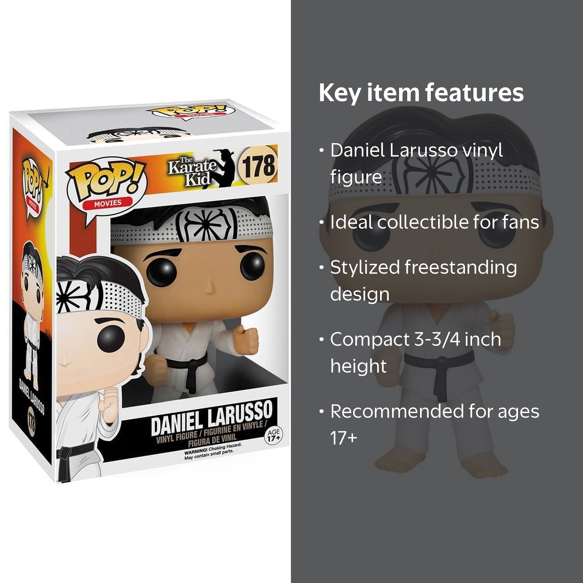 Karate Kid - Daniel Larusso - Walmart.com