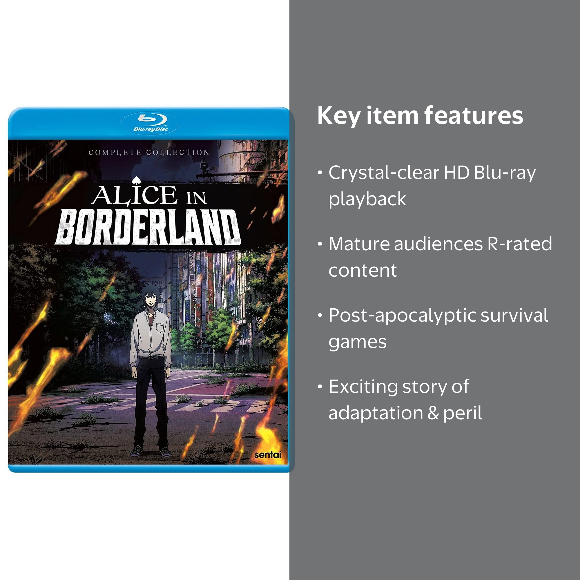 Sentai - Alice In Borderland [BLU-RAY] - Walmart.com