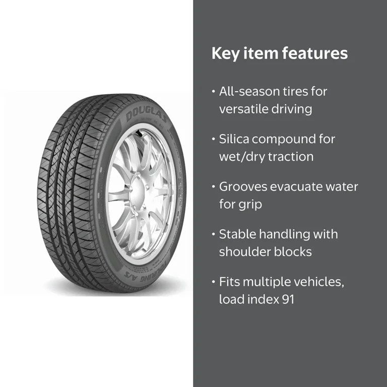 Douglas Touring A/S 195/65R15 91H All-Season Tire - Walmart.com