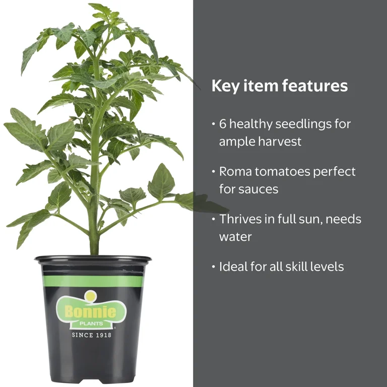 Bonnie Plants Roma Classic Paste Tomato 6-pack - Walmart.com