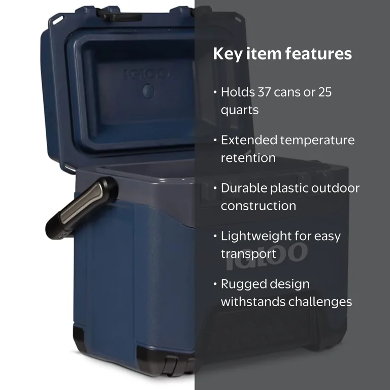 Blu「The Color Blu(e)」2xLP ゲートフォールド Igloo BMX 25 Quart Heavy-Duty Ice Chest Cooler with Cool Riser