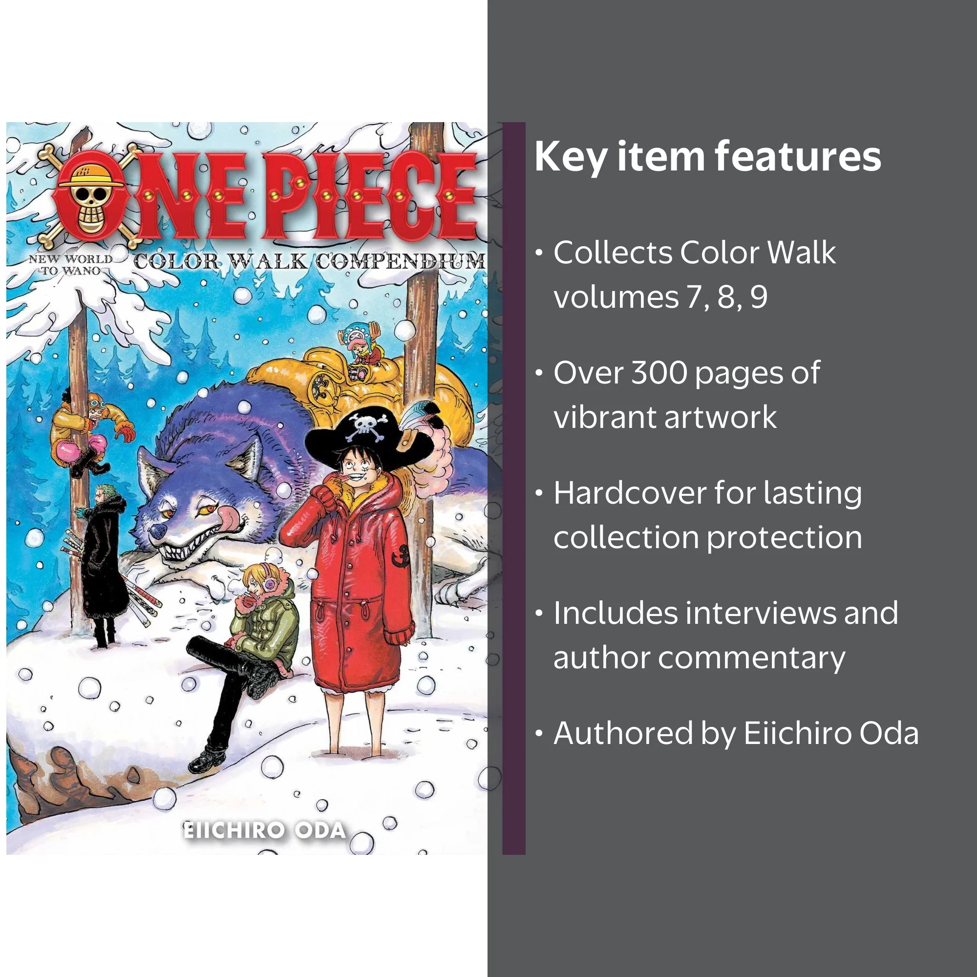 One Piece Manga Book: Color Walk Compendium Series #3 - New World