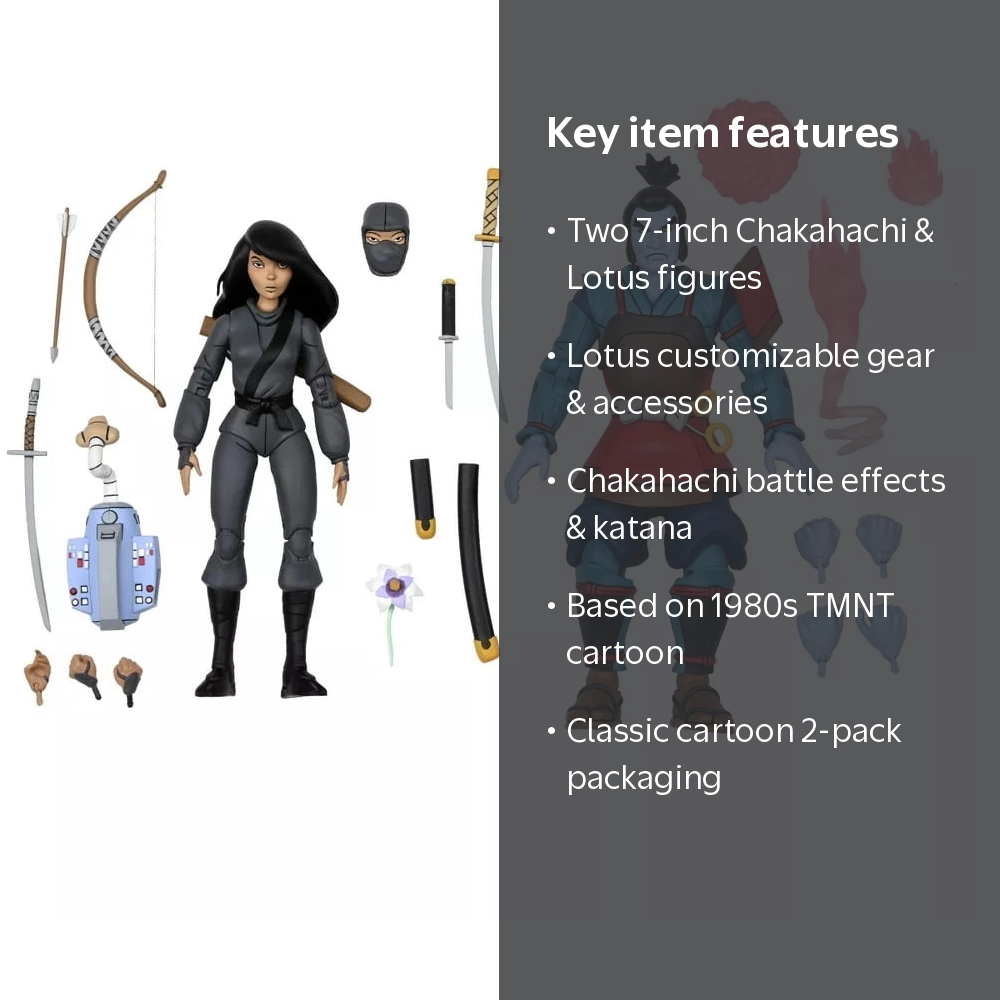 Teenage Mutant Ninja Turtles Chakahachi and Lotus Action Figures