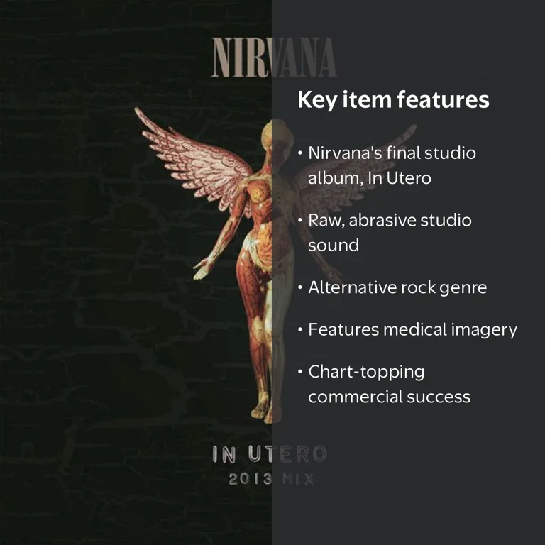 Nirvana - In Utero - Music & Performance - Vinyl - Walmart.com