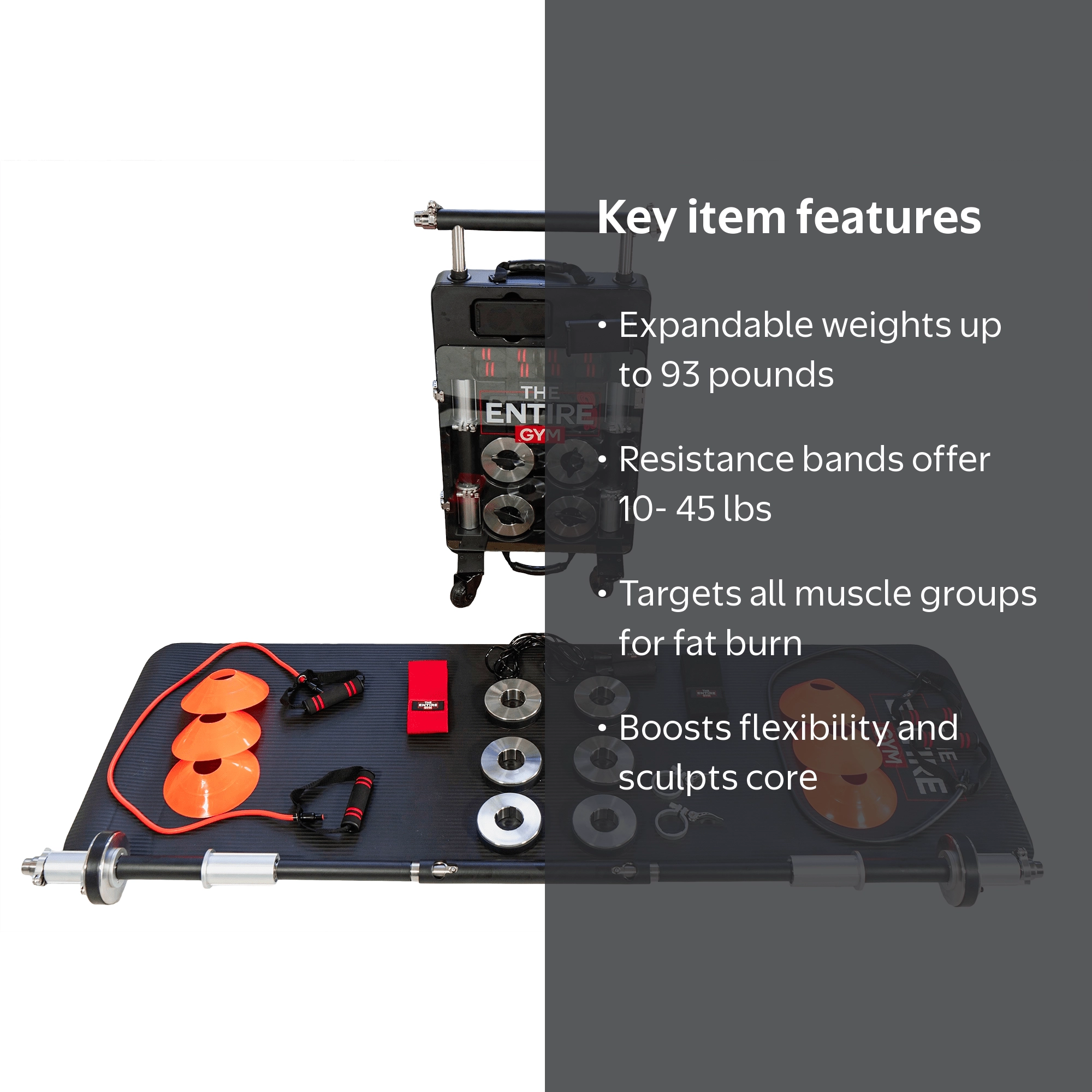 A The Entire Gym- Portable Home Gym Fitness Solution,Dumbbells