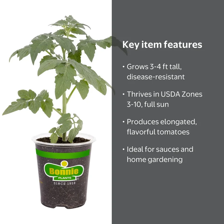 Bonnie Plants Tomato San Marzano,Disease resistant - Walmart.com