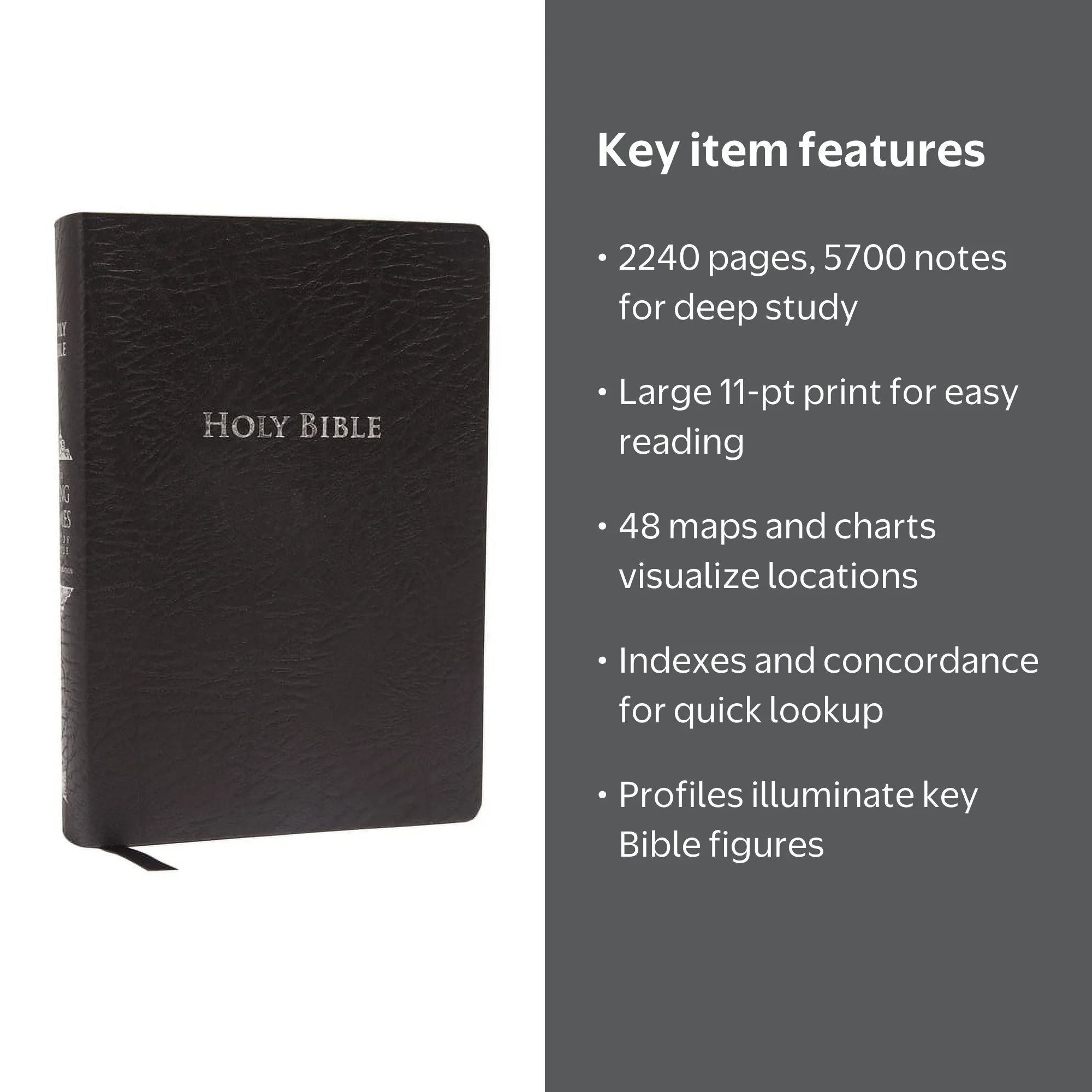 Thomas Nelson, Study Bible-KJV, Hardcover, 11pt Large Print