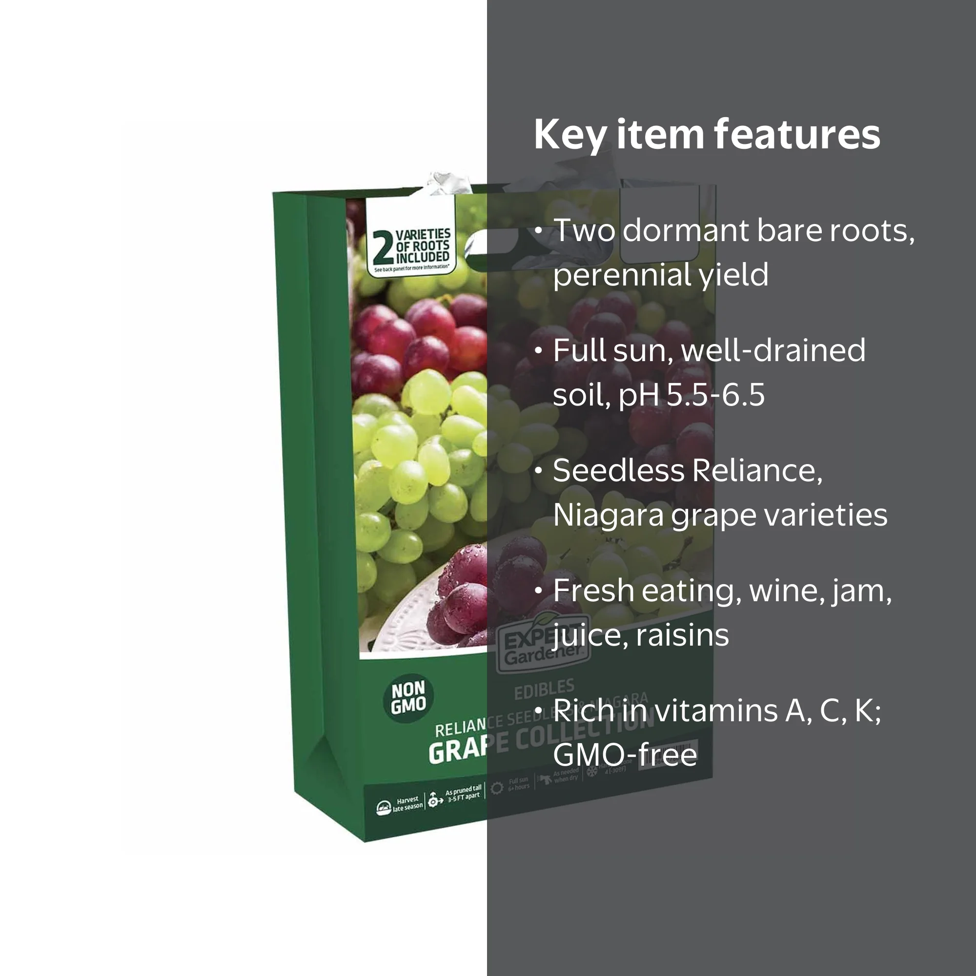Expert Gardener Grape Collection Seedless (Set of 2 Dormant Bare