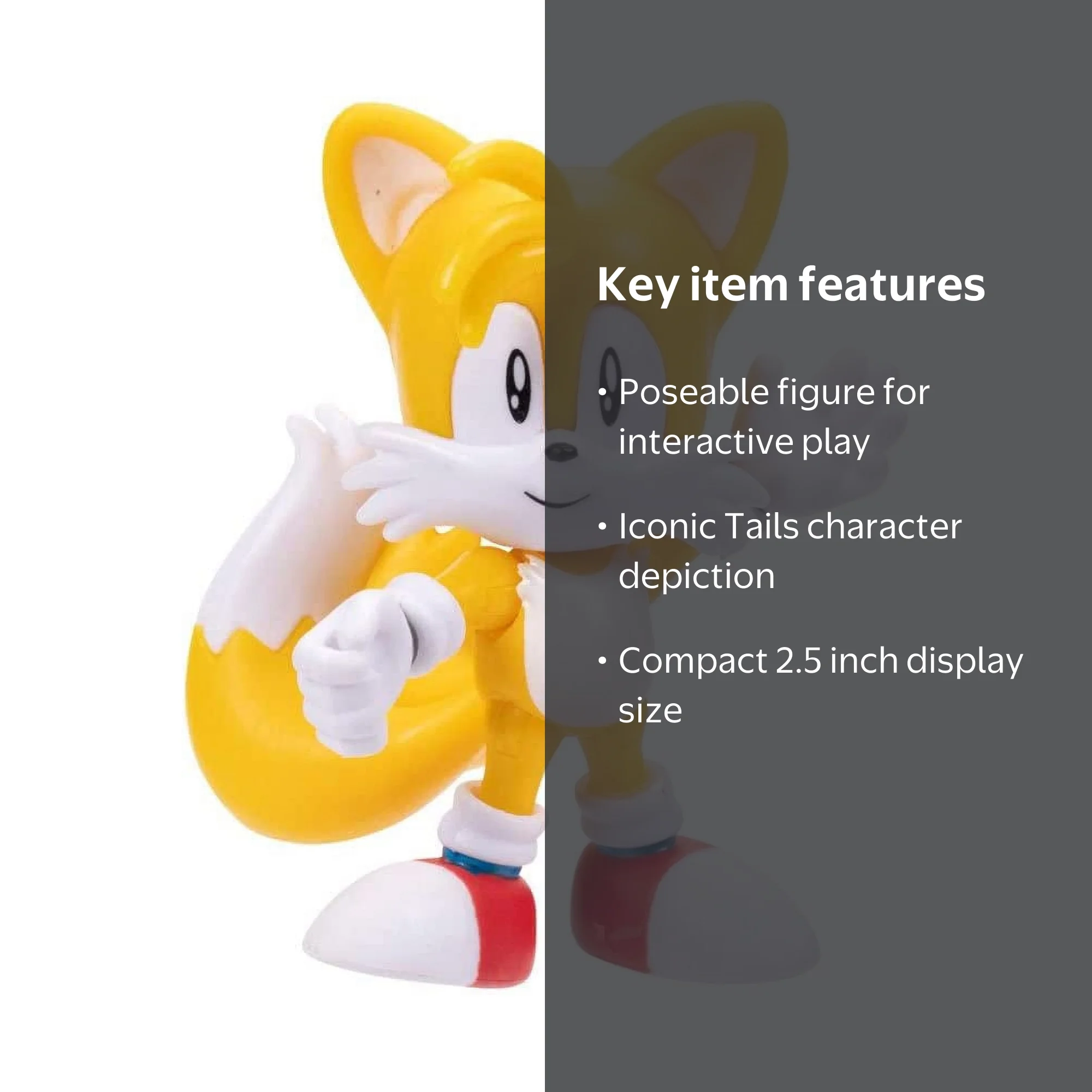 Sonic the Hedgehog 2.5