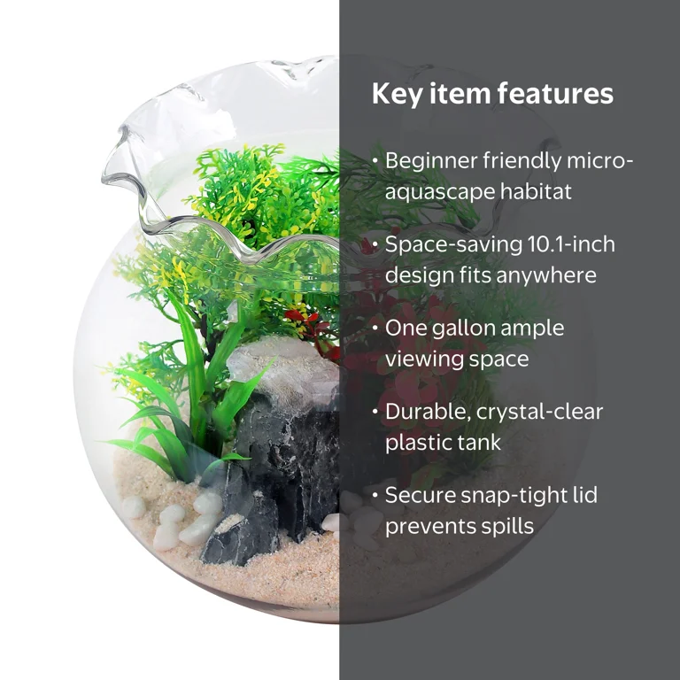 aqua one fish tank accessories Betta Duo Aquarium It is the perfect starter tank for beginners Aqua One BettaSense Curved Acrylic