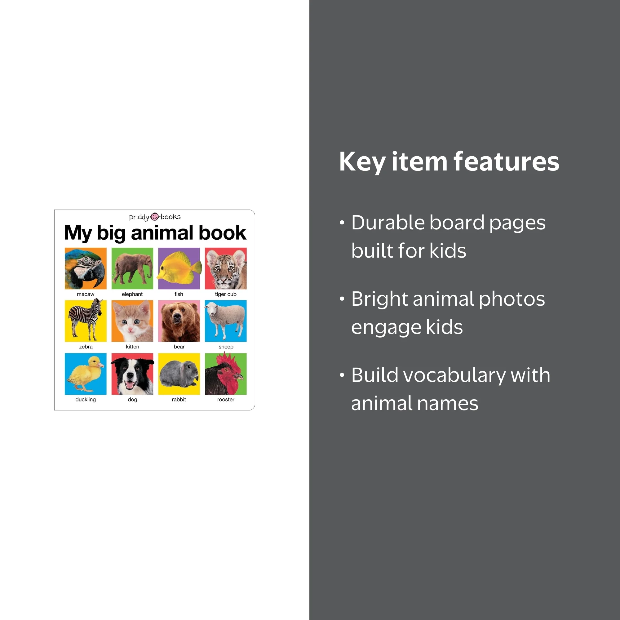 My Big Animal Book - Walmart.com