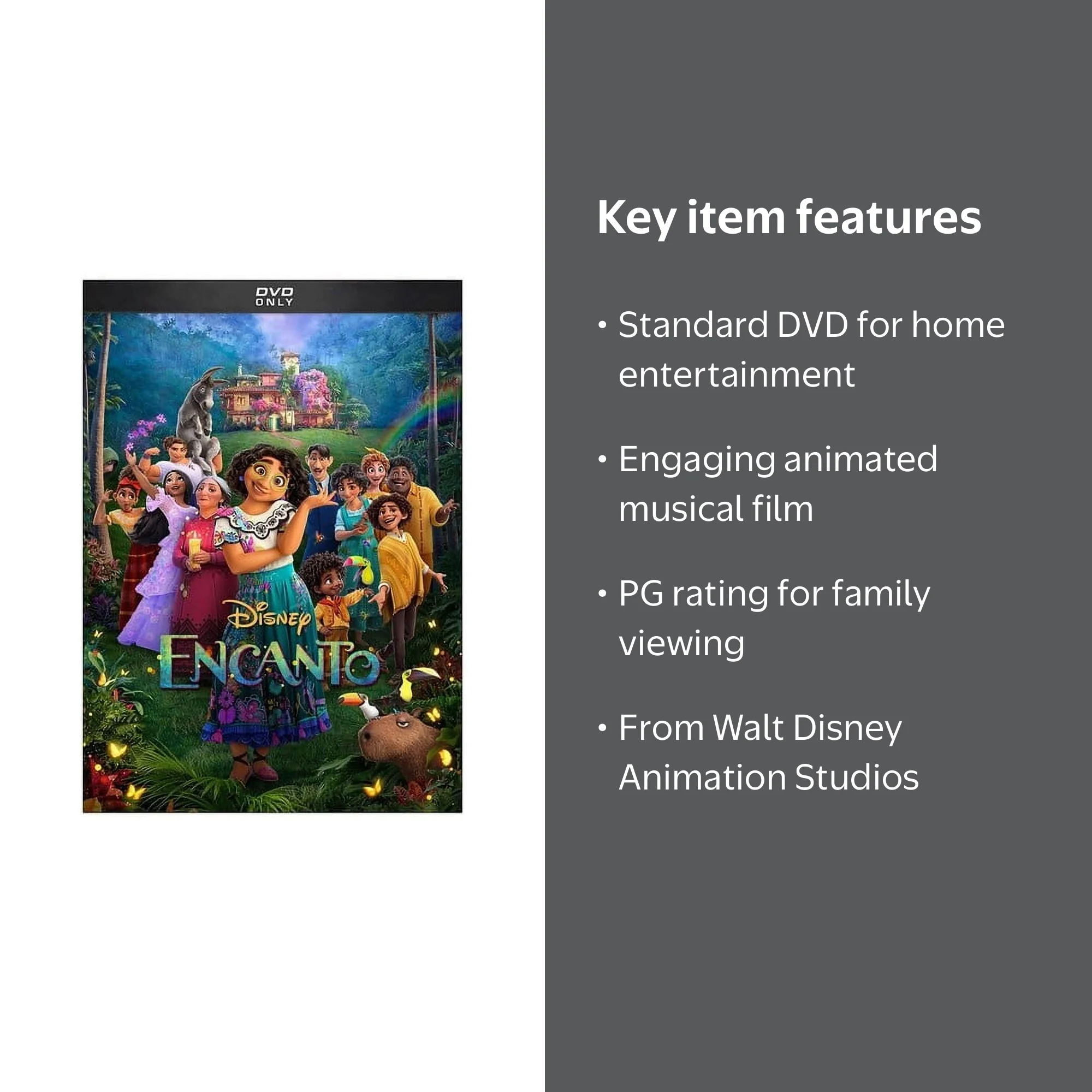 Disney Animation: Encanto (DVD) - New Movie - Walmart Business